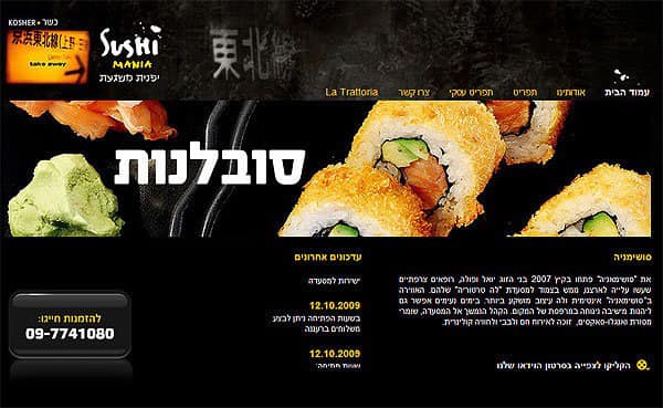 עיצוב ופיתוח אתר מקצועי