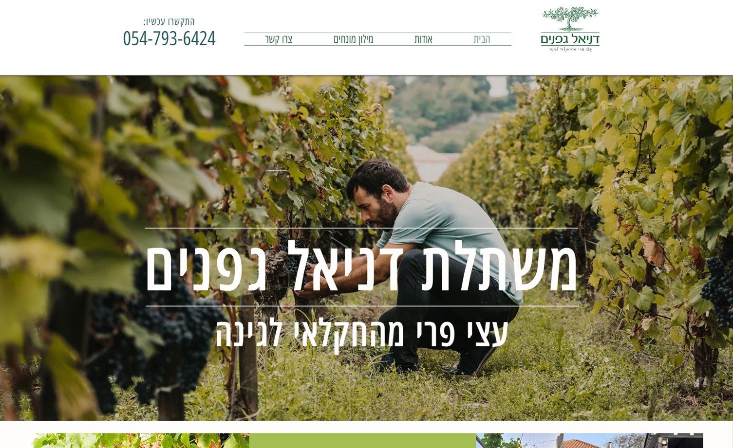 בניית אתר עם עיצוב ייחודי