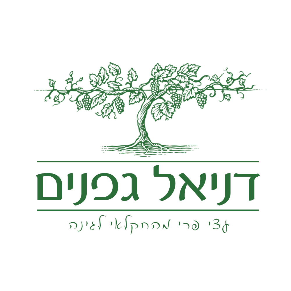 לוגו 40
