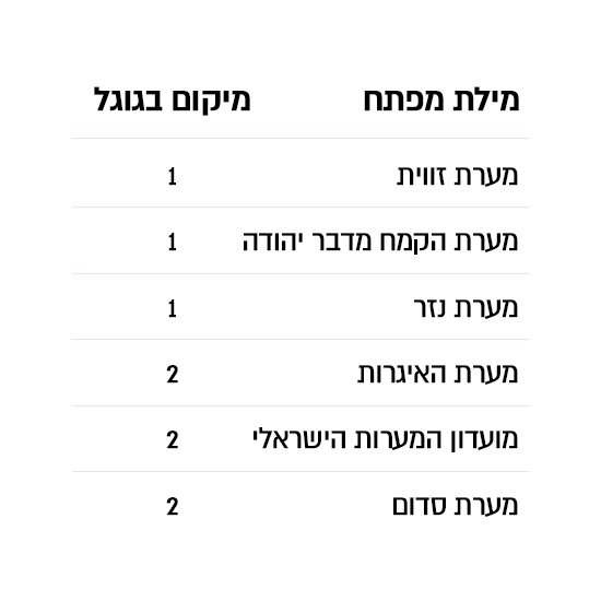תוצאות SEO 8