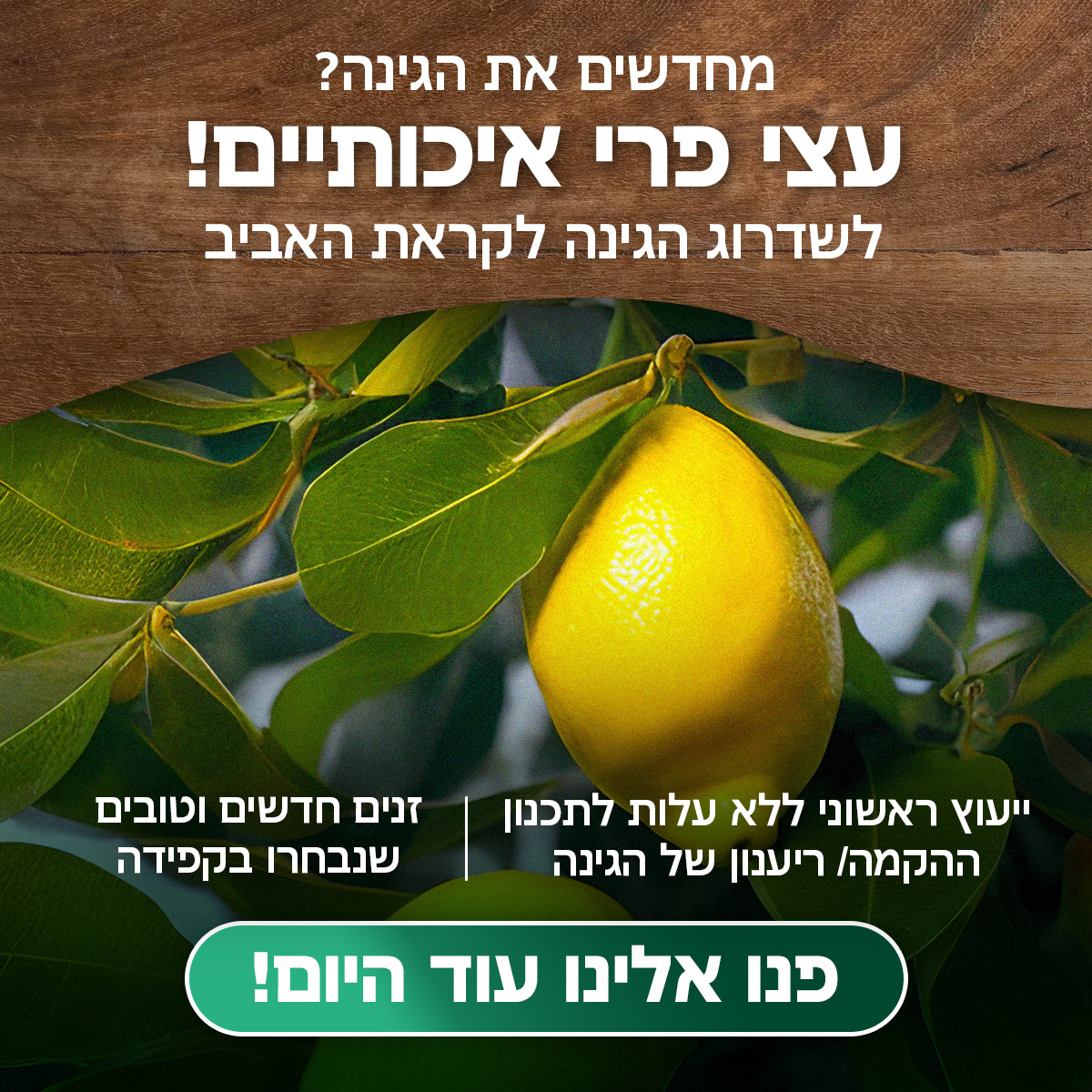דוגמה נוספת לקמפיין ברשתות חברתיות 16
